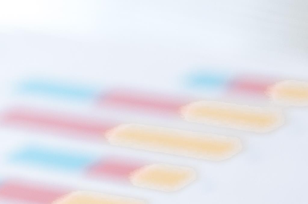 Pikavippi 20000e - Pikavippikone.fi Pikavippikone.fi